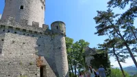   Ne manjka idej, kaj ponujati v lepo ohranjeni graščini ne meji med 
Krasom in Vipavsko dolino. Se bodo našli tudi izvajalci?    