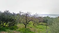 Oljčnik, ki ga že desetletja obdeluje družina Srebrnič, se nahaja na 
edinstveni lokaciji z razgledom na morje.