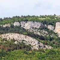 Plezalci jim pomagajo šteti sove