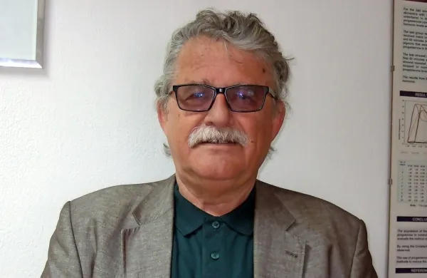 Invazija podgan v Ljubljani