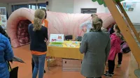 Tako so lani v marcu predstavili razvoj raka na črevesju mladim v  Ajdovščini. 