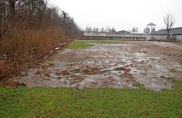 Takole so na travniku pri farmi nedaleč od Štivana in Grobišč razlili 
gnojevko.