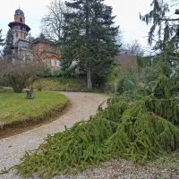 Sto let vzhodno-zahodne vile