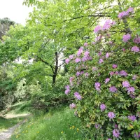 Sto let vzhodno-zahodne vile