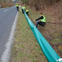 Dva tedna bodo žabam pomagali pri selitvi
