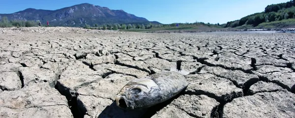 Takšni prizori bodo tudi na Primorskem vse pogostejši.