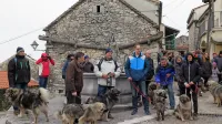 Kraški ovčarji so se predstavili v Štanjelu. 