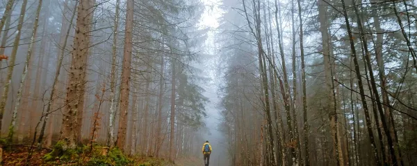 Jeziki so otroci narave, kot je otrok narave tudi človek. Rojevajo se 
in odmirajo samo naravno, tako, kot se rojevajo in odmirajo 
narodi, ki jih govorijo.