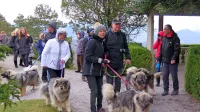 Tudi v Ferrarijevem vrtu so se sinovi burje dobro počutili.