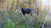 Večina prebežnikov mejo med Slovenijo in Hrvaško prečka peš,  pri čemer jih ne ovira niti  žičnata ograja. Nekateri si pot utrejo tako, da 
na  ograjo enostavno položijo oblačila.
