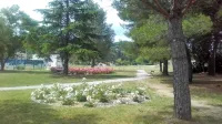   Park sonce je v večinski lasti Marine Portorož, občina si zanj 
prizadeva tudi zaradi načrtov s širitvijo zdravstvenega doma. 