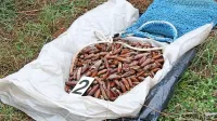  Po obtožbi naj bi tudi mesar iz okolice Kopra sodeloval  pri poslih 
z zaščitenimi dateljni, a je včeraj državna tožilka obtožbo proti 
njemu umaknila. 