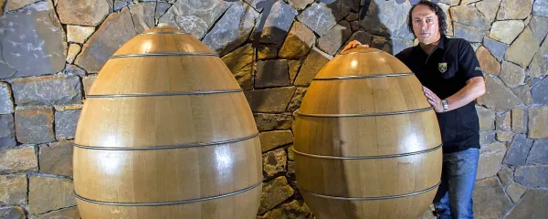 Marjan Simčič  pri svojih lesenih “jajcih”, v katerih zorijo šampionska vina.