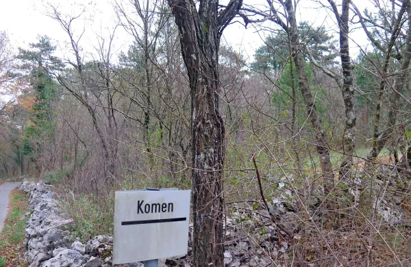 Komenska občina do nadaljnjega ne bo prodajala zemljišč, ki so 
bila nekoč last agrarnih skupnosti.