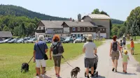 Gostinski objekt v središču kraja bo kot Gostilna Lokve in pod 
taktirko novih najemnikov ponovno zaživel 21. aprila. Novi 
najemniki bi radi na Lokve, ki jih Italijani že cenijo kot zanimivo 
turistično točko, pritegnili tudi več Novogoričanov.