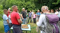 Letošnji festival češenj bi lahko bil priložnost za predstavitev vseh 
društev iz Vipavske  in Braniške doline  ter s Trnovsko-Banjške 
planote.