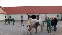 Branko Đurić - Đuro in Boris Cavazza sta postala botra dvema 
lipiškima žrebičkoma.