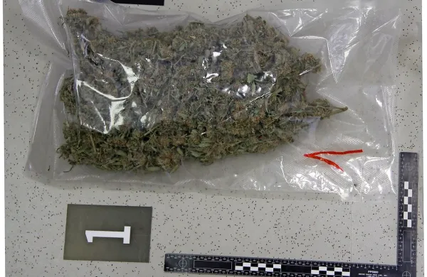 Policisti so pred tremi leti Italijanoma zasegli skoraj kilogram 
konoplje, nato pa prišli še do njunega dobavitelja.