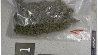 Policisti so pred tremi leti Italijanoma zasegli skoraj kilogram 
konoplje, nato pa prišli še do njunega dobavitelja.