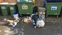 Med velikonočnimi prazniki je bil ekološki otok v Materiji, ob stari šoli, kar štiri dni prepoln.

