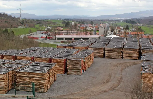 Profilesova skladišča lesa že zdaj zasedajo velike površine desno 
od regionalne ceste oziroma pod avtocesto.