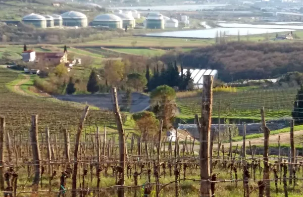 Vodni zajetji na Purissimi bosta tudi to poletje prazni. V Agrarii 
upajo, da bo to zadnjič.      