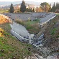Kjer ni ostankov folije, se hitro  razraščata robida,  akacija in trava. 