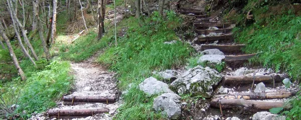 Slovenščina naglasna znamenja le redko uporablja, ker ne spada 
med jezike, ki jih morajo zapisovati, kot so na primer češčina, 
francoščina ter delno nemščina in italijanščina. Vendar se tudi naš 
jezik znajde na razpotju, ko ne vemo, kaj zapisano pomeni. V takih 
primerih je priporočljivo, da različne pomene označimo z naglasnimi znamenji: téma - temà; gôra - (treh) gorá; žêna - žená; 
svétnik - svetník; gorjé - górje (pogorje); pôje - pojé; kôzle - kozlè; 
itd.