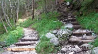Slovenščina naglasna znamenja le redko uporablja, ker ne spada 
med jezike, ki jih morajo zapisovati, kot so na primer češčina, 
francoščina ter delno nemščina in italijanščina. Vendar se tudi naš 
jezik znajde na razpotju, ko ne vemo, kaj zapisano pomeni. V takih 
primerih je priporočljivo, da različne pomene označimo z naglasnimi znamenji: téma - temà; gôra - (treh) gorá; žêna - žená; 
svétnik - svetník; gorjé - górje (pogorje); pôje - pojé; kôzle - kozlè; 
itd.
