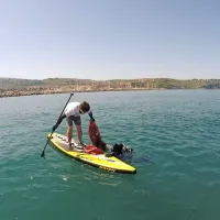 Z dna morja so potegnili celo skuter