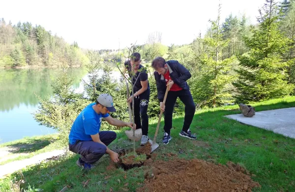 Gospodar ribiške družine Iztok Grlj (levo) je s predstavnikoma 
stranke Andrej Čuš in Zeleni Slovenije ob ribiškem domu simbolično posadil lipo.
