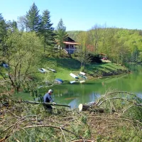 Člani Ribiške družine Bistrica so uredili in počistili vejevje na 
ribolovnih mestih ob Moli.