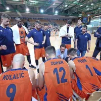 Nervozni tigri in odločni barvarji