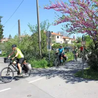 Parencana je vse bolj obiskana. Zanjo se zanimajo predvsem 
tujci.