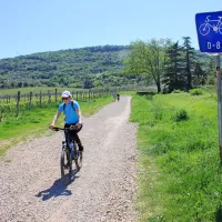 Na slovenskem odseku Parencane je le 800 metrov makadama 
med Izolo in Jagodjem, pa še temu se da izogniti.
