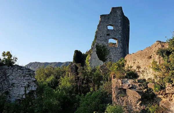 Zidovi, ujeti v bršljan in robidovje, se rušijo.