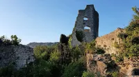 Zidovi, ujeti v bršljan in robidovje, se rušijo.