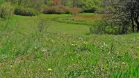 Geoparka, ki bi Kras v Sloveniji in Italiji povezal v celoto, po 
desetih letih od prve pobude še vedno ni.
