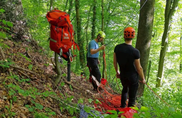 Padalec je visel približno 20 metrov od tal in skoraj deset metrov 
stran od debla, kar je precej otežilo njegovo reševanje.