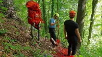 Padalec je visel približno 20 metrov od tal in skoraj deset metrov 
stran od debla, kar je precej otežilo njegovo reševanje.