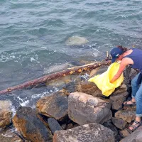 Država z neuporabnim plovilom, novo šele januarja