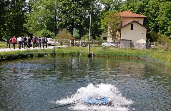 Kobariška ribogojnica bo postala  sodobno vzrejališče ogrožene 
primorske podusti.  