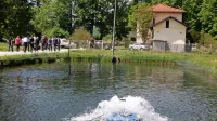 Kobariška ribogojnica bo postala  sodobno vzrejališče ogrožene 
primorske podusti.  