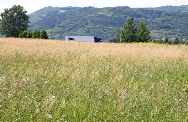 16.500 m2 veliko zemljišče med obvoznico in hitro cesto, kjer je 
predviden Expo Vipavske doline, danes ni bilo prodano.