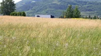 16.500 m2 veliko zemljišče med obvoznico in hitro cesto, kjer je 
predviden Expo Vipavske doline, danes ni bilo prodano.