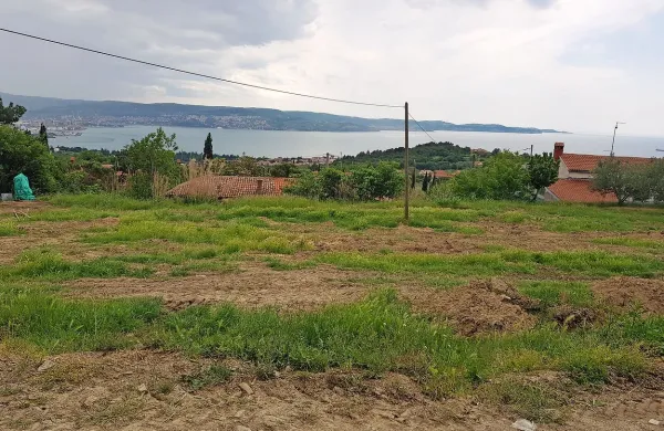  Družina Tatjane Srebrnič je v zameno za odškodnino s parcele 
odstranila trajni nasad oljk, ki ga je imela na tej lokaciji zasajenega 
od leta 1955. 