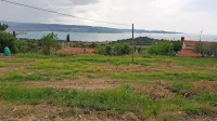  Družina Tatjane Srebrnič je v zameno za odškodnino s parcele 
odstranila trajni nasad oljk, ki ga je imela na tej lokaciji zasajenega 
od leta 1955. 