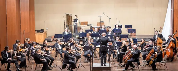 Jezik, naj bo trajno zapisan v knjigi ali le začasno govorjen v 
vsakdanjem sporazumevanju, je enak orkestru z velemojstri 
violine, flavte in vseh drugih orkestralnih inštrumentov. Če ga vodi 
in usmerja dober dirigent (govornik, razpravljavec, pisatelj, 
novinar), je njegova glasba (govorica) očarljiva. Brez izkušenega 
dirigenta ni tako: orkester ne igra usklajeno, čeprav vsak velemojster inštrumenta sam za sebe igra odlično.