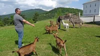 Skoraj pol hektarja zelenic okoli Parka vojaške zgodovine bodo 
vzdrževale ovce in osli iz črede Grega Česnika. 