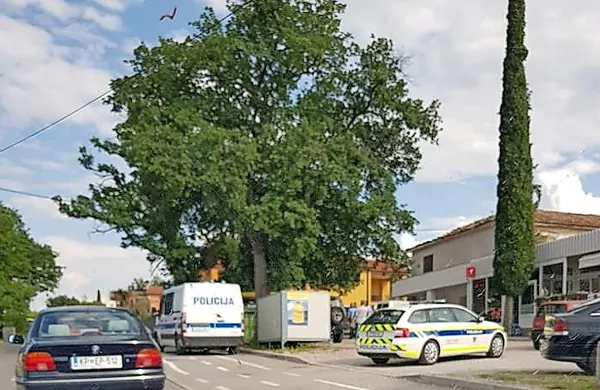 Zaradi nevarnega psa je bilo v sredo popoldne v Hrvatinih precej 
napeto. 